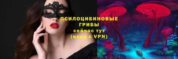 PSILOCYBIN Вуктыл