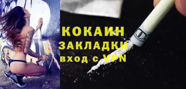 индика Шарыпово