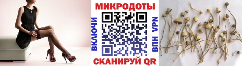 продажа наркотиков  Подольск  Галлюциногенные грибы Magic Shrooms 