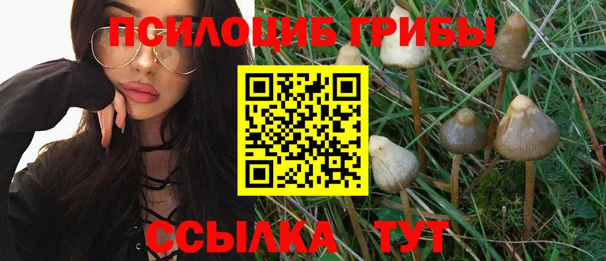 Псилоцибиновые грибы ЛСД Подольск