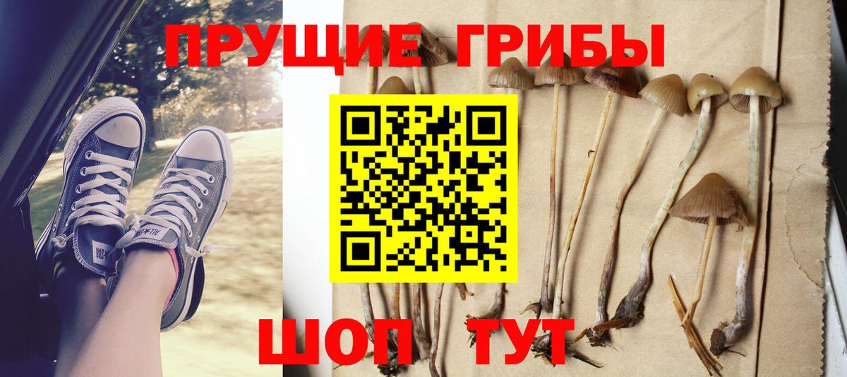 Галлюциногенные грибы прущие грибы  Подольск 