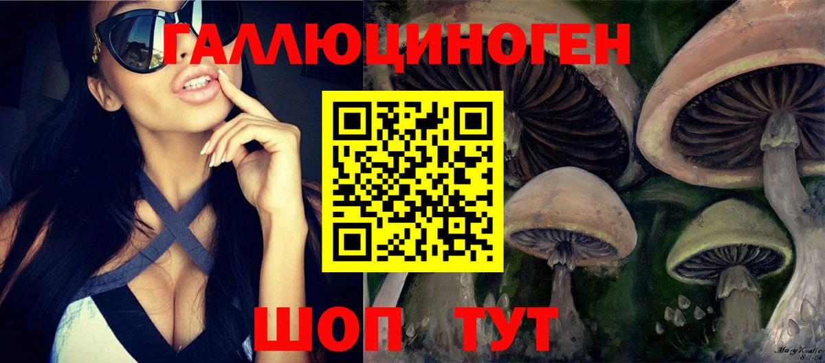 Подольск  Галлюциногенные грибы Psilocybine cubensis  Псилоцибиновые грибы ЛСД  купить   Вход с VPN 