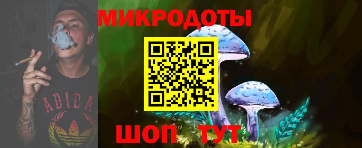Псилоцибиновые грибы мицелий Подольск